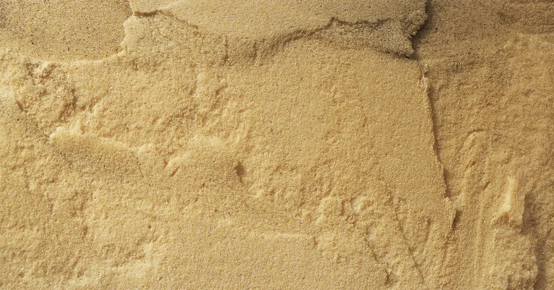 Isolation intérieure : poser des panneaux de fibres végétales chez soi